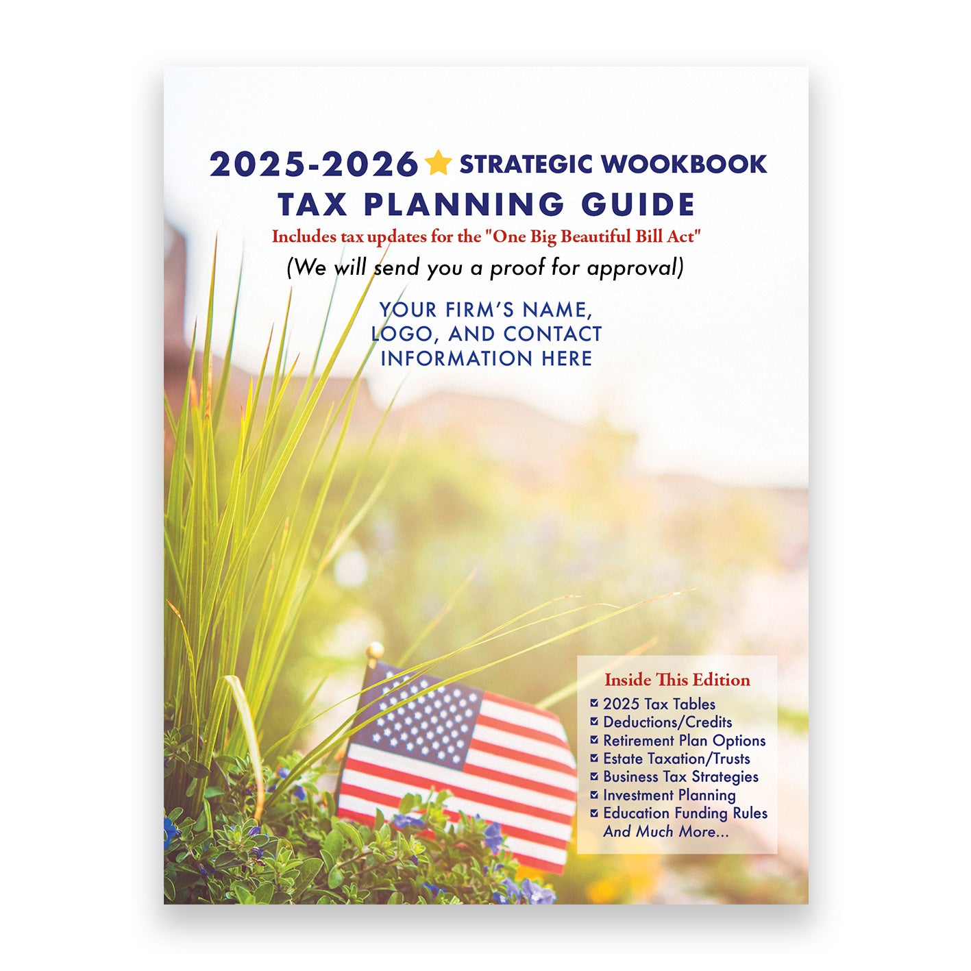 Large Tax Planning Guide
