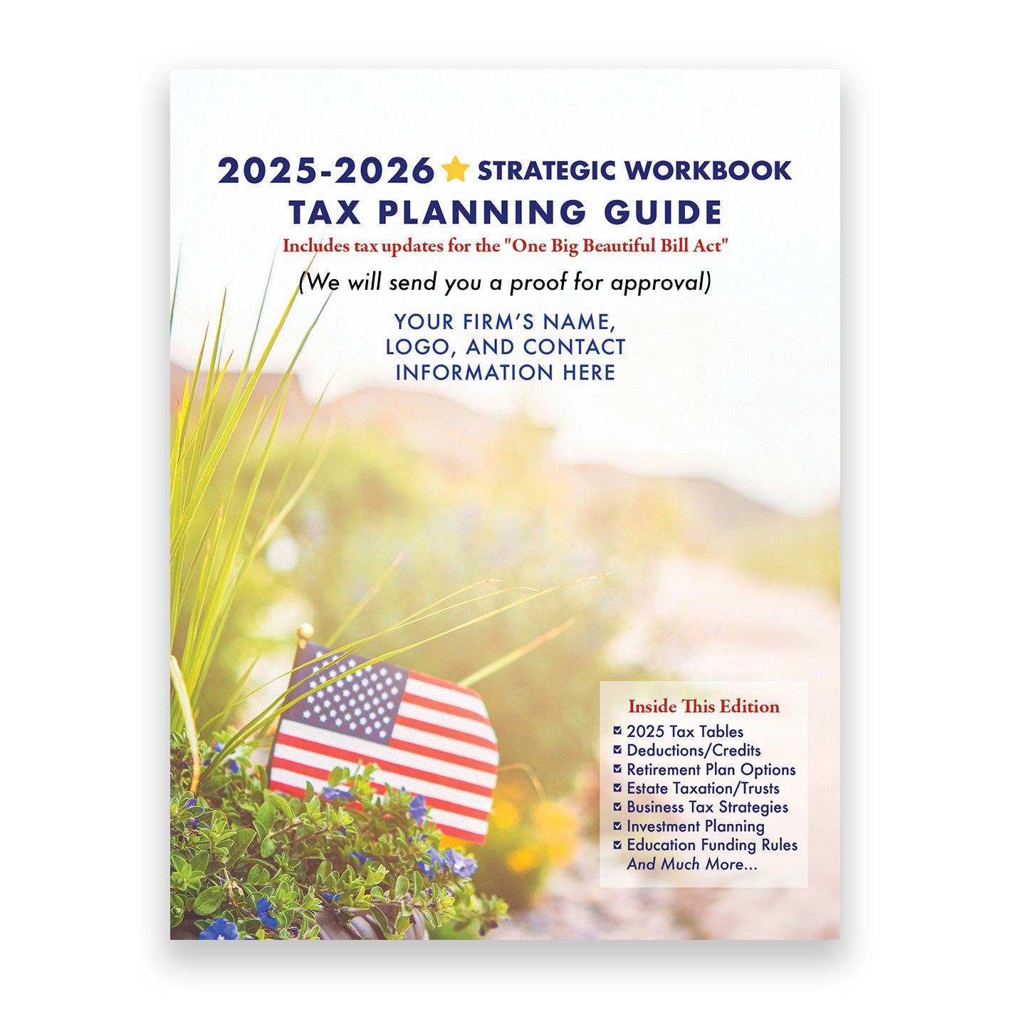 Large Tax Planning Guide