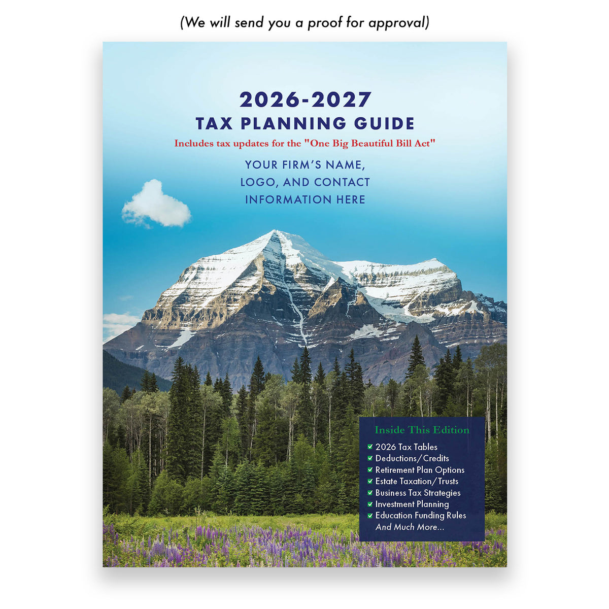 Large Tax Planning Guide
