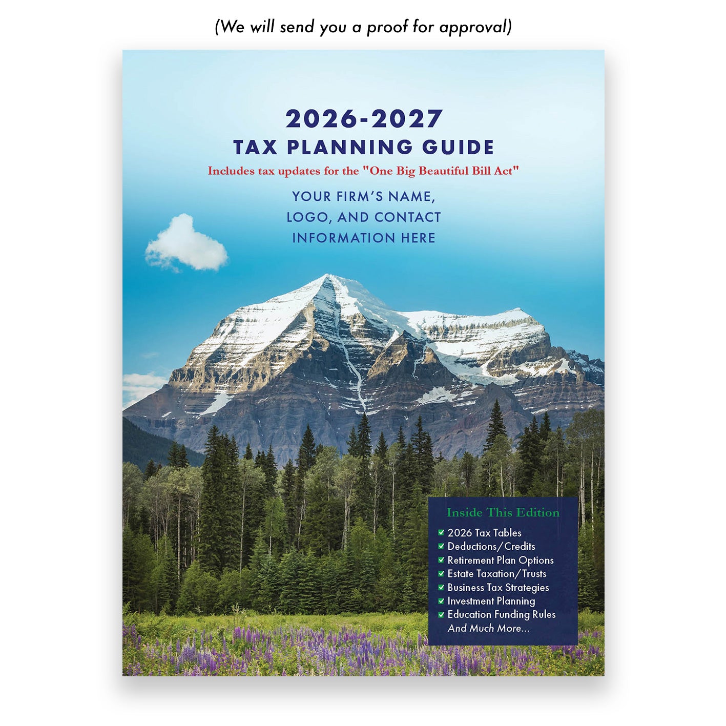 Large Tax Planning Guide